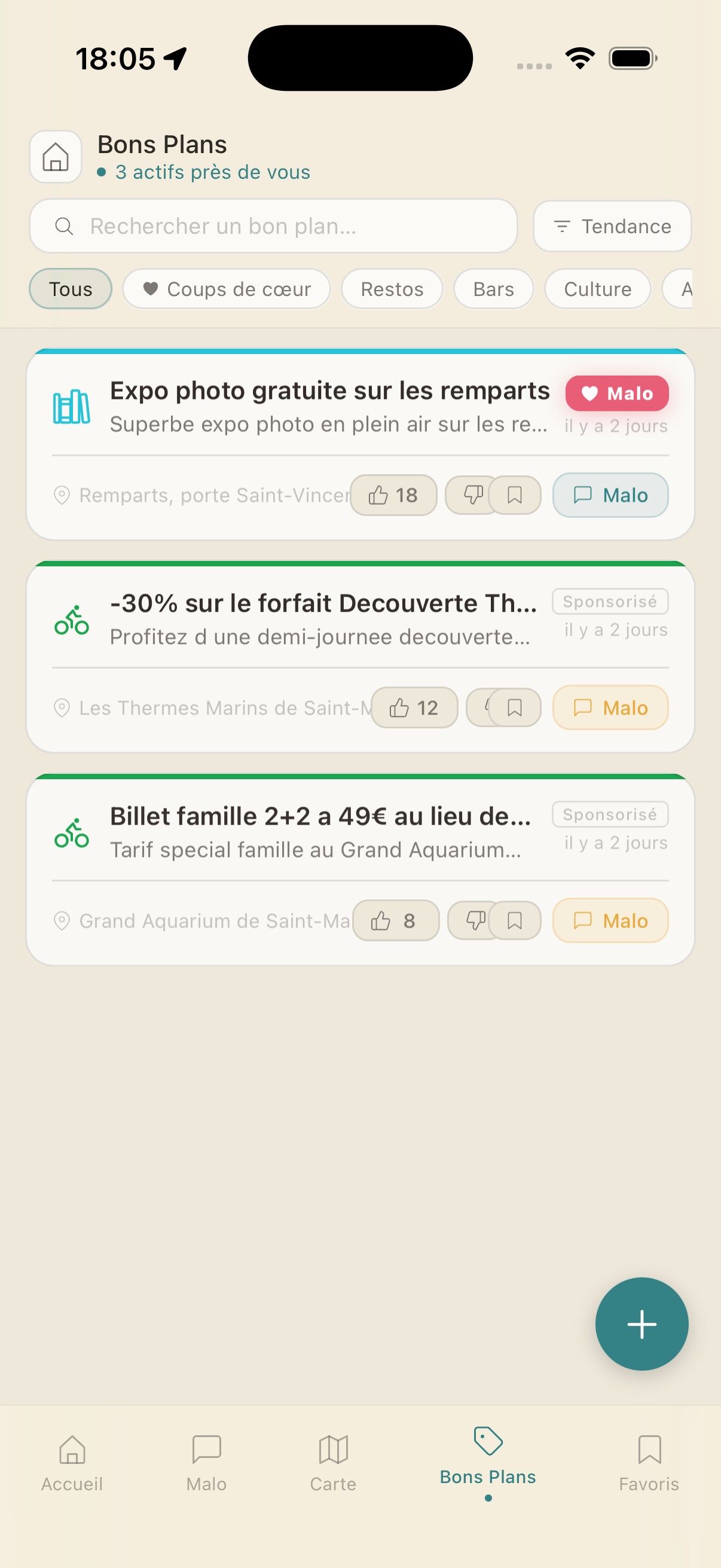 L'accueil avec carte, le chat avec Malo, l'exploration et les bons plans 4